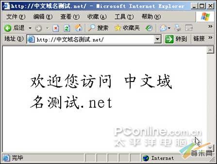 中文域名访问示例二